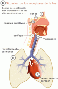 tos_receptors_c