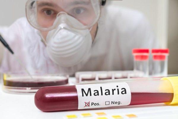 Enfermedades incurables malaria